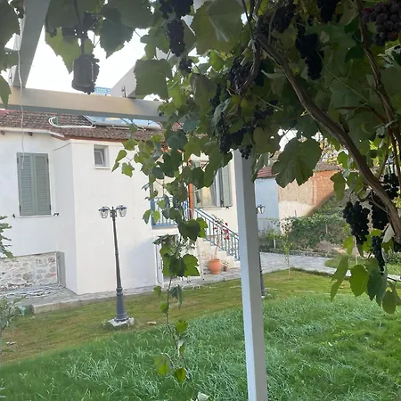 Filipa Gardens Daire